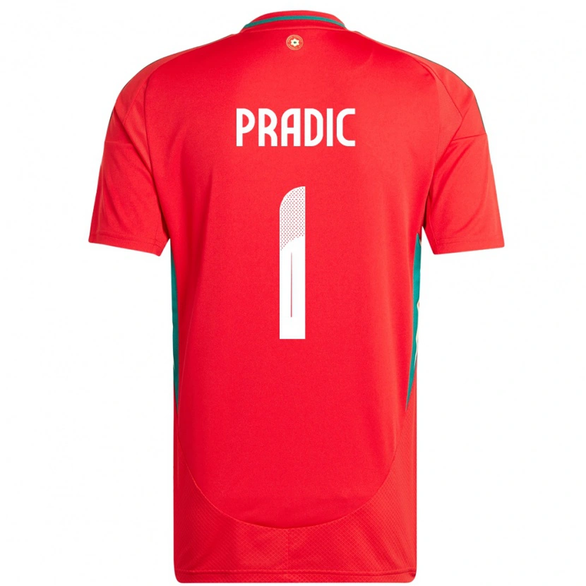 Danxen Damen Wales James Pradic #1 Rot Heimtrikot Trikot 24-26 T-Shirt Schweiz