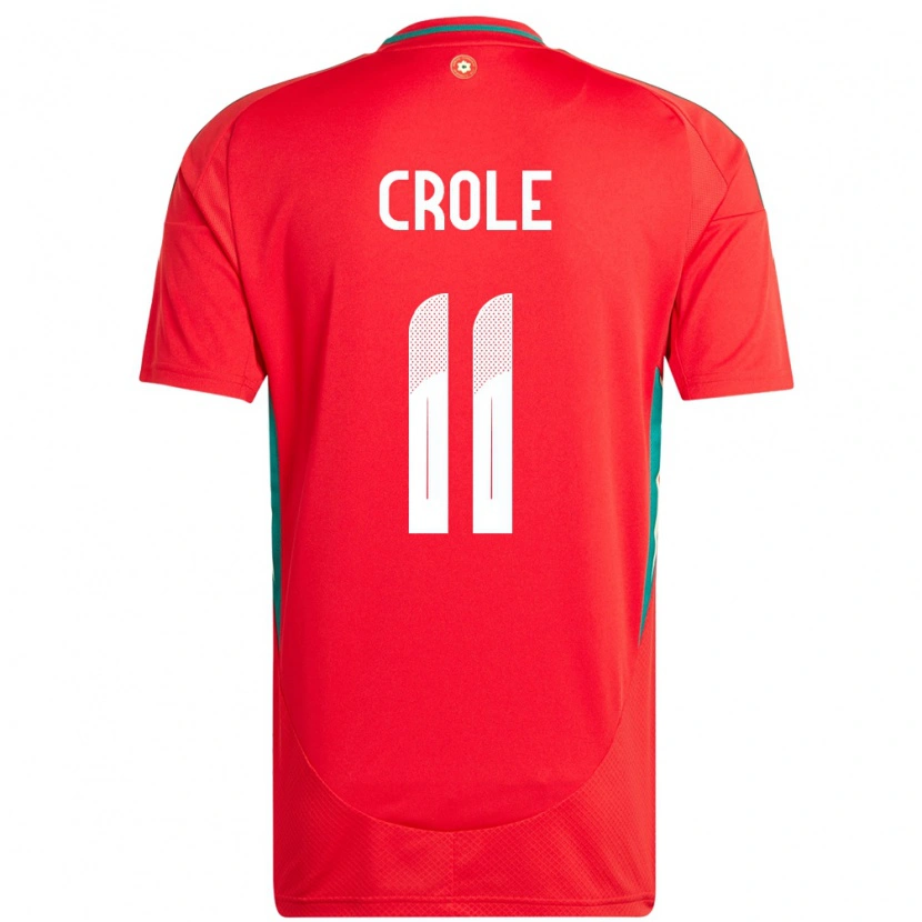 Danxen Damen Wales James Crole #11 Rot Heimtrikot Trikot 24-26 T-Shirt Schweiz
