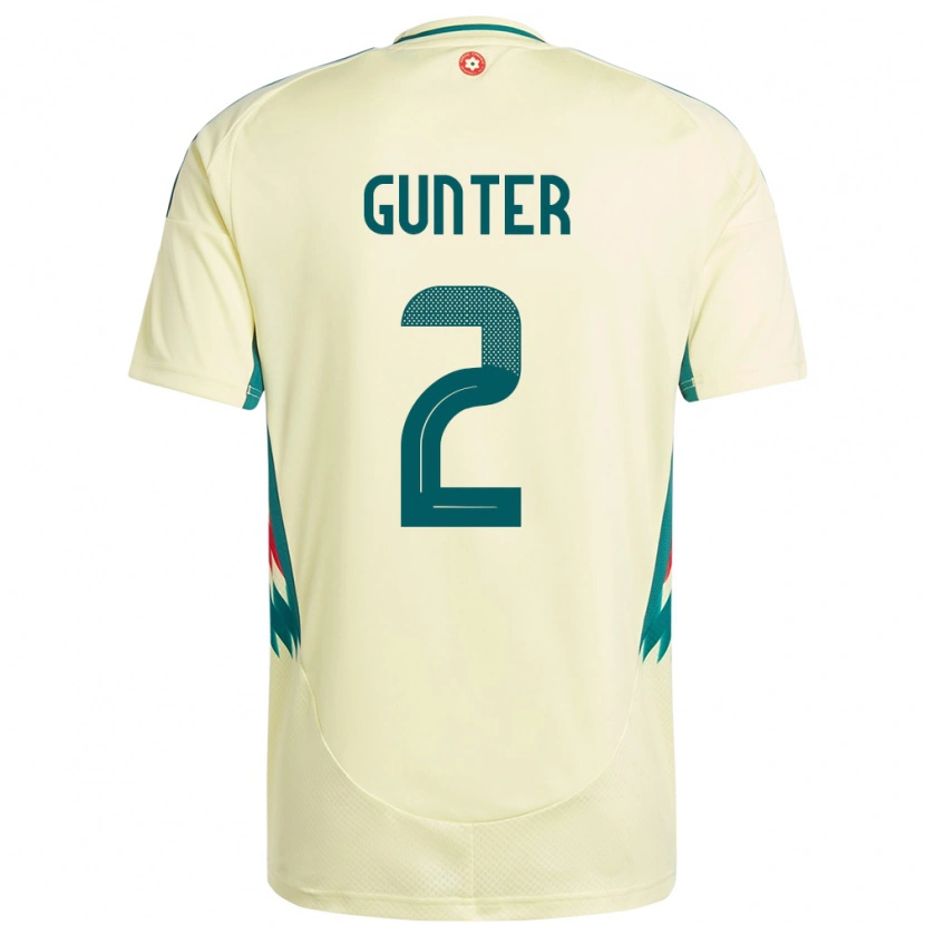 Danxen Damen Wales Chris Gunter #2 Beige Gelb Auswärtstrikot Trikot 24-26 T-Shirt Schweiz