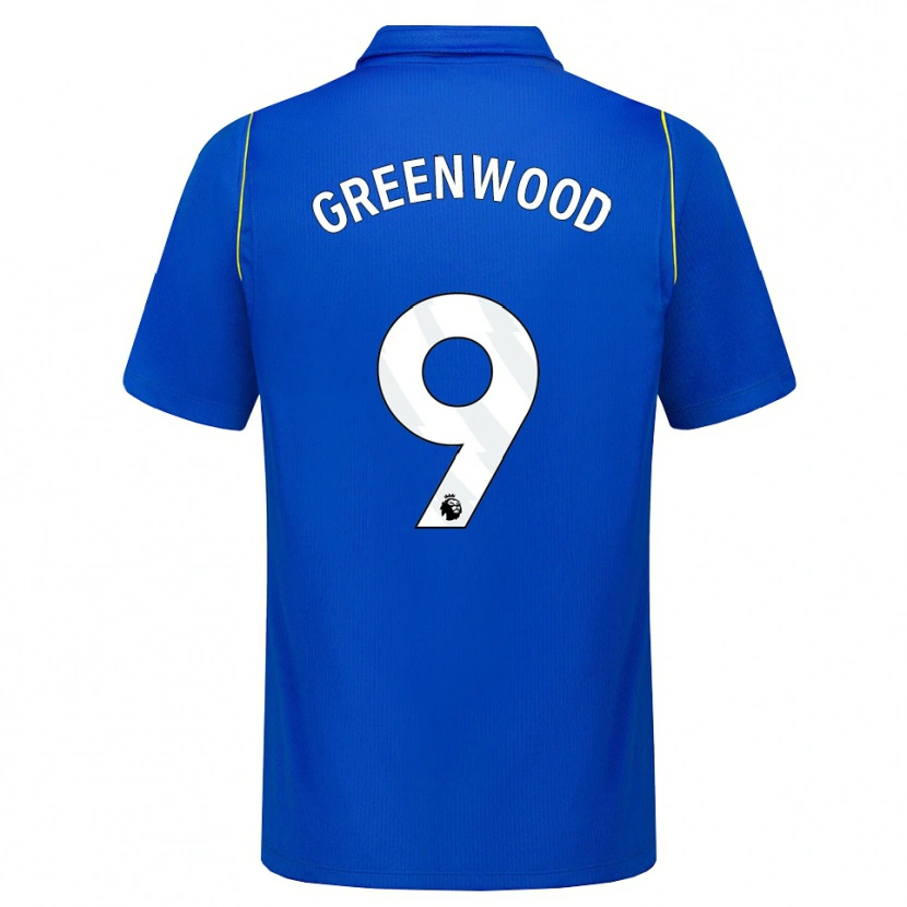Danxen Damen Jashayde Greenwood #9 Blau Gelb Heimtrikot Trikot 2026/27 T-Shirt Schweiz