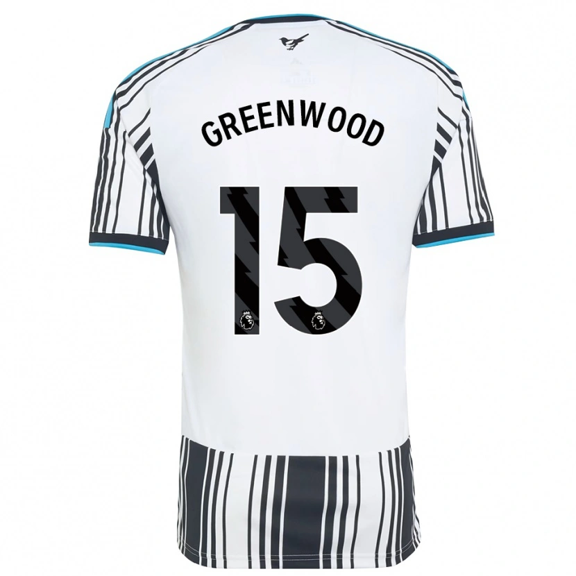 Danxen Damen Hannah Greenwood #15 Himmelsblau Schwarz Weiß Heimtrikot Trikot 2026/27 T-Shirt Schweiz