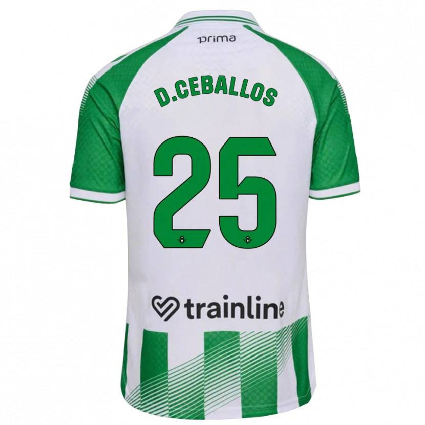 Danxen Herren Dani Ceballos #25 Hellgrün Schwarz Weiß Heimtrikot Trikot 2026/27 T-Shirt Schweiz