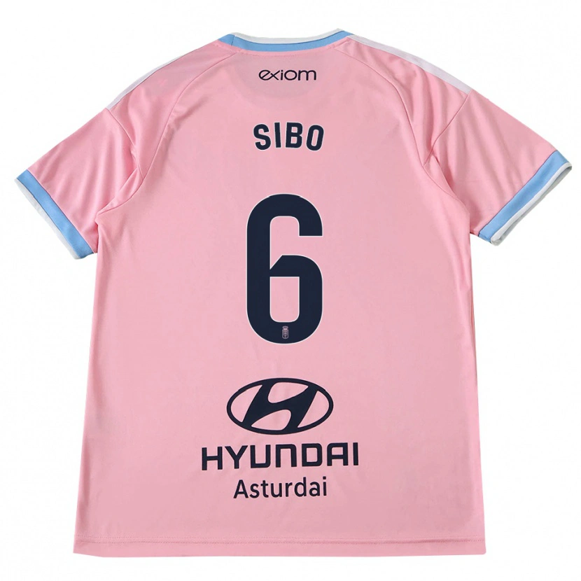 Danxen Damen Kwasi Sibo #6 Kornblumenblau Rosa Auswärtstrikot Trikot 2026/27 T-Shirt Schweiz