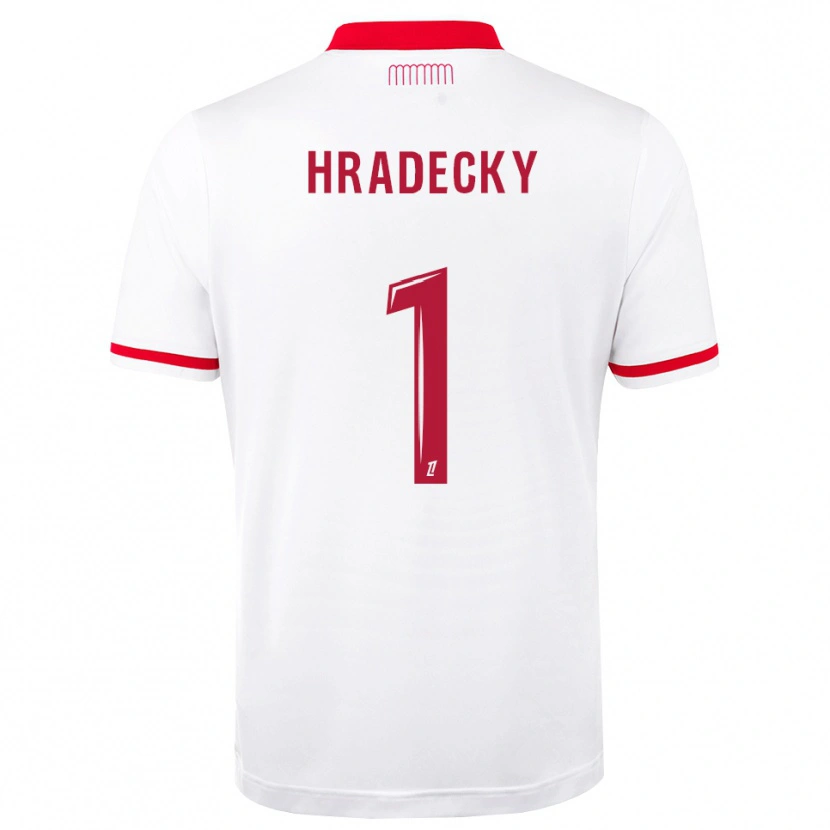 Danxen Herren Lukas Hradecky #1 Rot Weiß Heimtrikot Trikot 2026/27 T-Shirt Schweiz