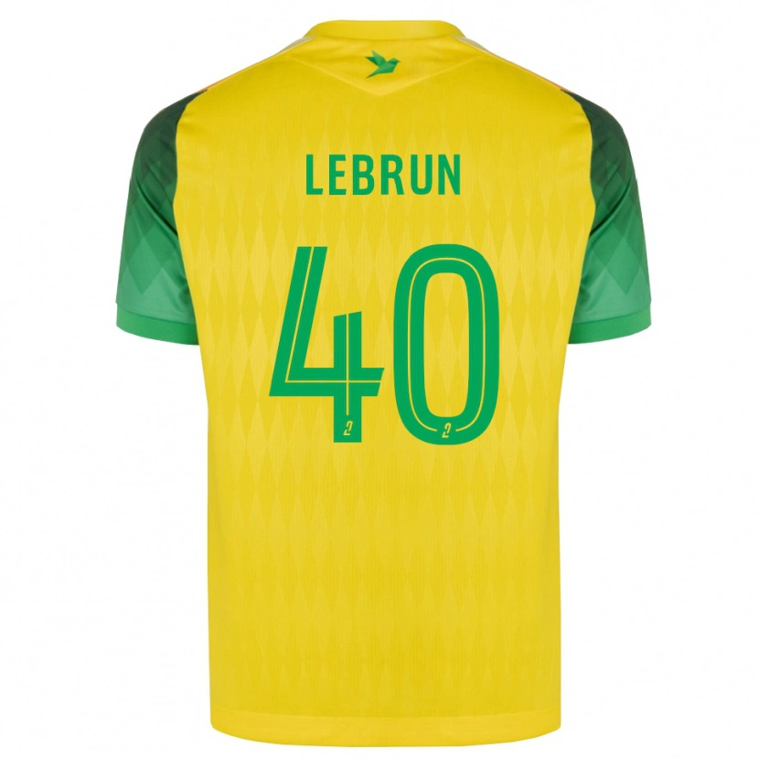 Danxen Herren Lisa Lebrun #40 Gelb Grün Rot Heimtrikot Trikot 2026/27 T-Shirt Schweiz