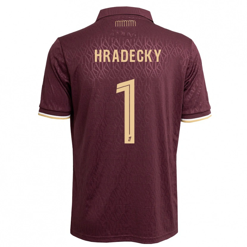 Danxen Damen Lukas Hradecky #1 Weinrot Sandbraun Auswärtstrikot Trikot 2026/27 T-Shirt Schweiz