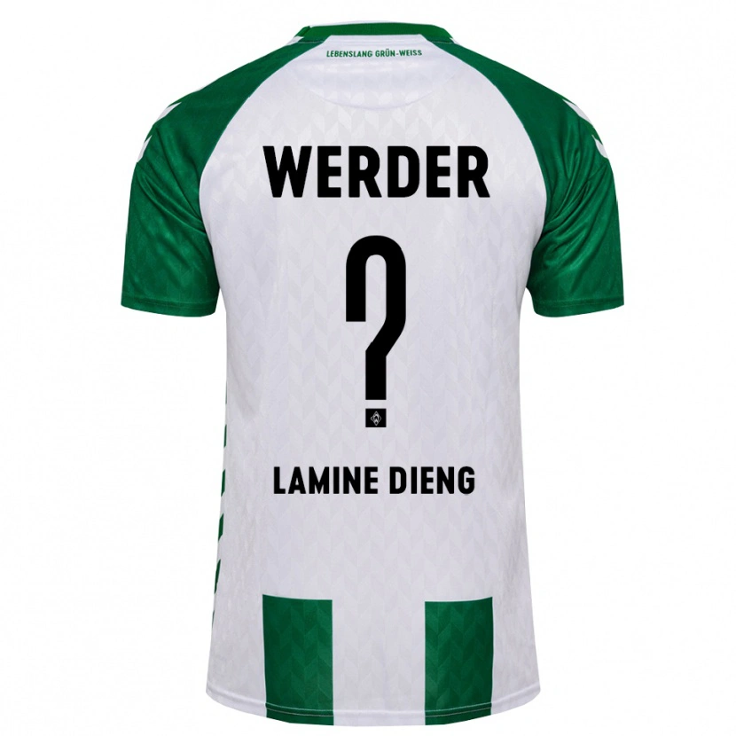Danxen Damen Mamadou Lamine Dieng #0 Grün Weiß Heimtrikot Trikot 2026/27 T-Shirt Schweiz