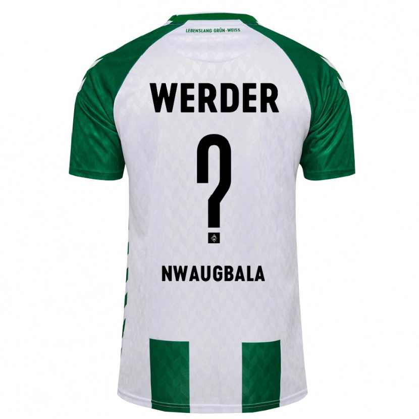 Danxen Damen Kevin Nwaugbala #0 Grün Weiß Heimtrikot Trikot 2026/27 T-Shirt Schweiz