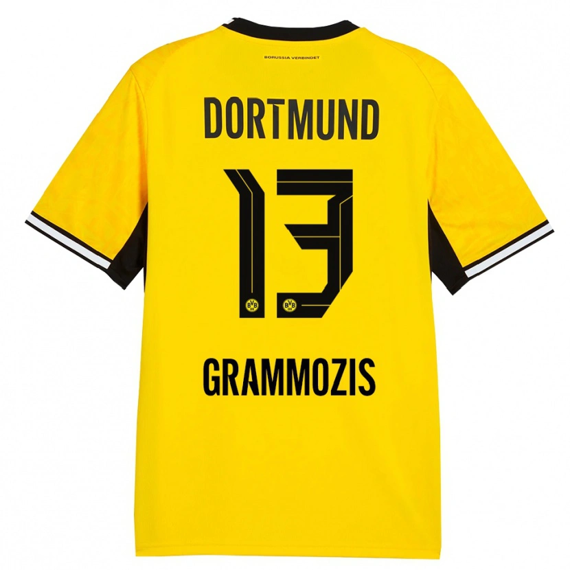 Danxen Herren Athanasios Grammozis #13 Gelb Schwarz Weiß Heimtrikot Trikot 2026/27 T-Shirt Schweiz