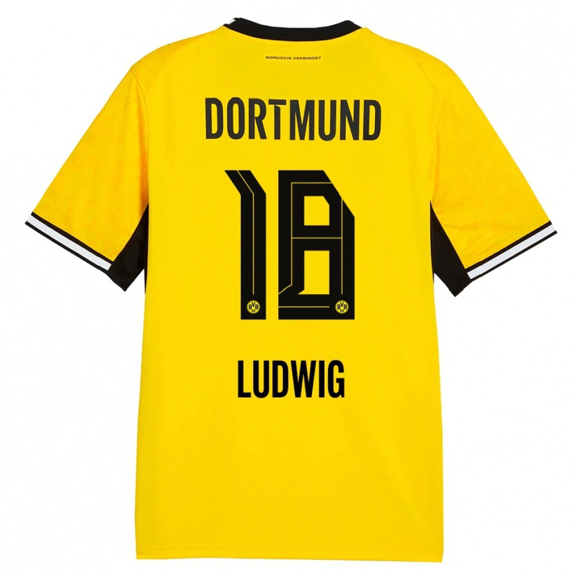 Danxen Herren Michel Ludwig #18 Gelb Schwarz Weiß Heimtrikot Trikot 2026/27 T-Shirt Schweiz
