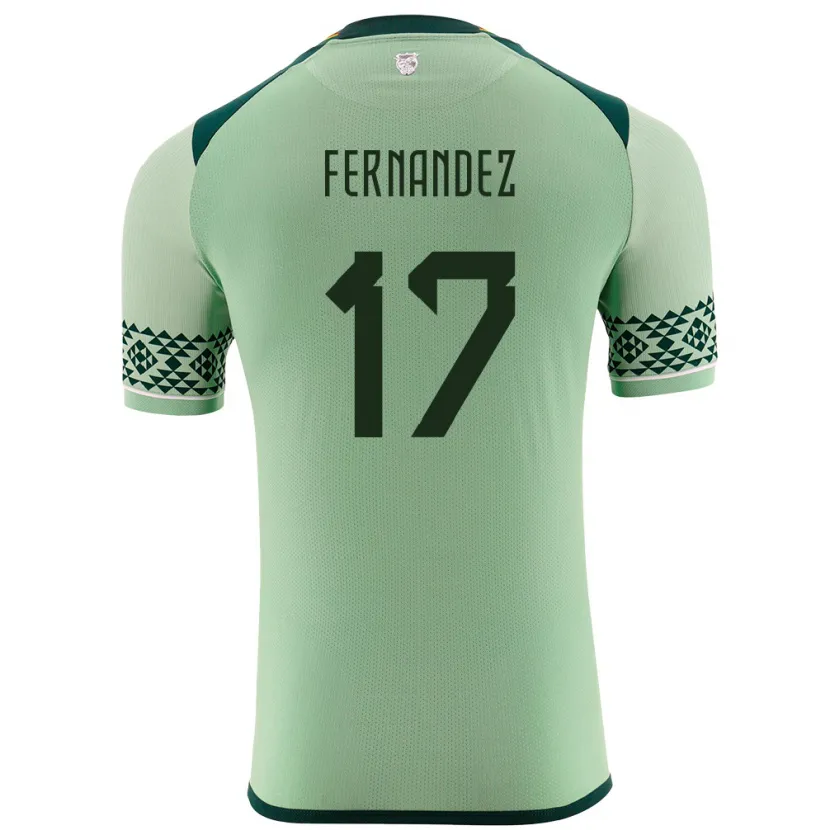 Danxen Herren Bolivien Roberto Fernández #17 Hellgrün Heimtrikot Trikot 24-26 T-Shirt Schweiz