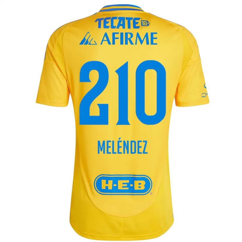 Danxen Herren Marcelo Meléndez #210 Goldgelb Heimtrikot Trikot 2024/25 T-Shirt Schweiz
