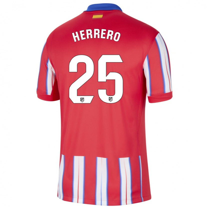 Danxen Kinder Alex Herrero #25 Rot Weiß Blau Heimtrikot Trikot 2024/25 T-Shirt Schweiz