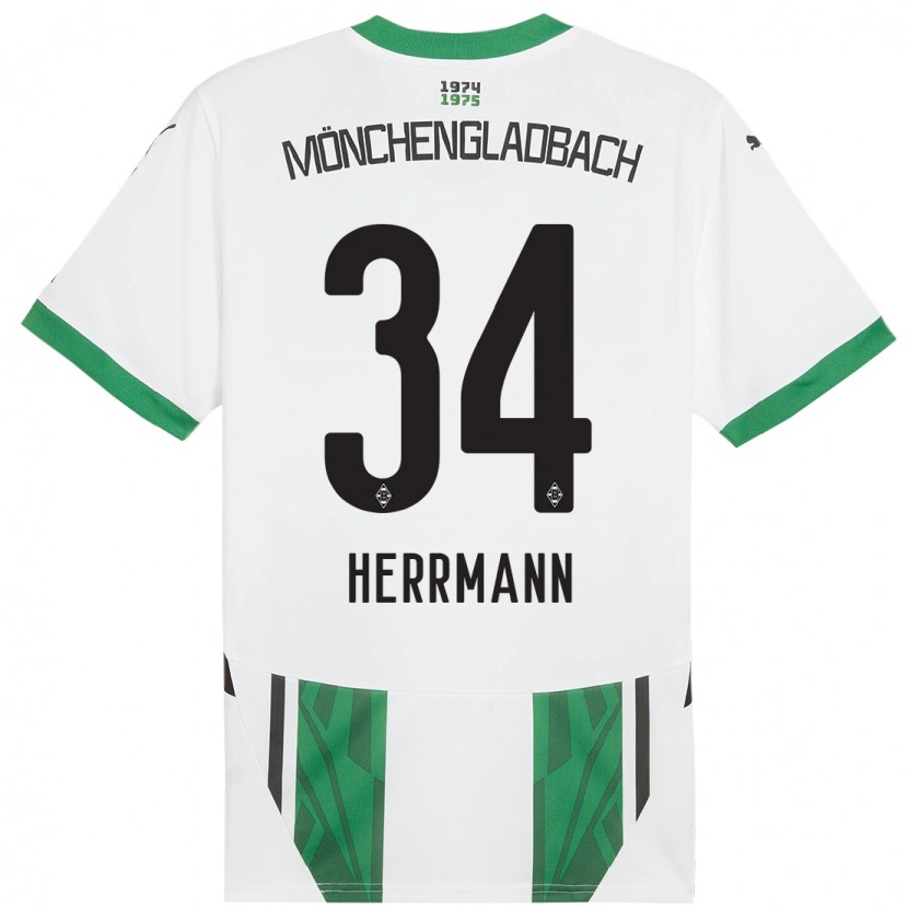Danxen Herren Charles Herrmann #34 Weiß Grün Heimtrikot Trikot 2024/25 T-Shirt Schweiz