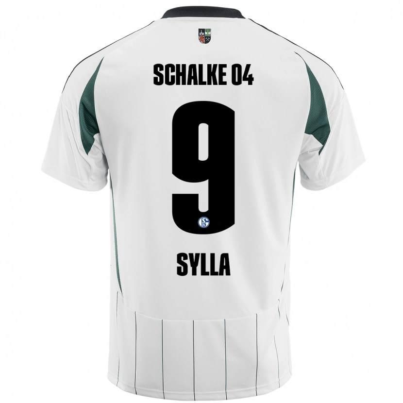 Danxen Damen Moussa Sylla #9 Weiß Grün Auswärtstrikot Trikot 2024/25 T-Shirt Schweiz