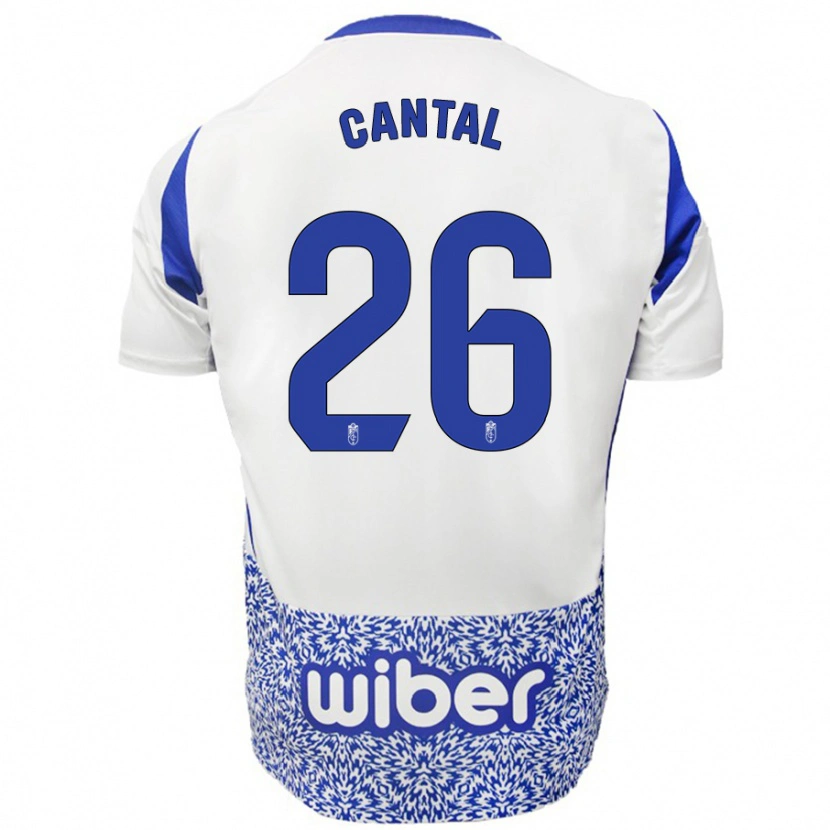 Danxen Herren Paco Cantal #26 Weiß Blau Auswärtstrikot Trikot 2024/25 T-Shirt Schweiz