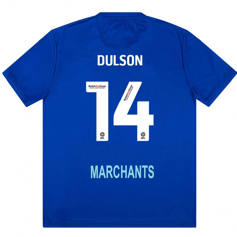 Danxen Herren Liam Dulson #14 Grün Auswärtstrikot Trikot 2024/25 T-Shirt Schweiz